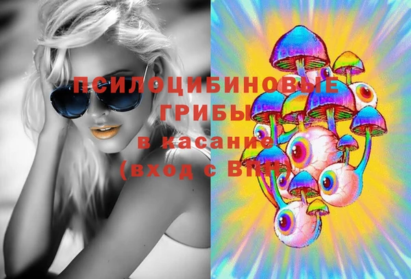 а пвп мука Алзамай
