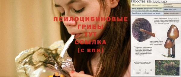 герыч Алексин