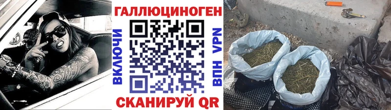 Псилоцибиновые грибы Cubensis  Ухта 