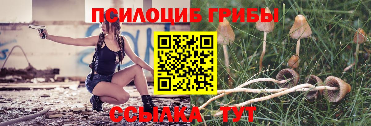 Псилоцибиновые грибы Cubensis Ухта