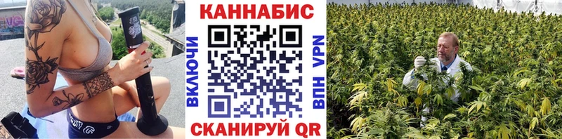 Бошки Шишки гибрид  Ухта 